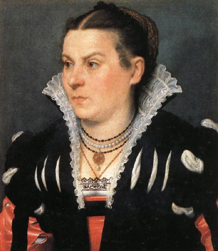MORONI, Giovanni Battista Portrait of a Noblewoman France oil painting art